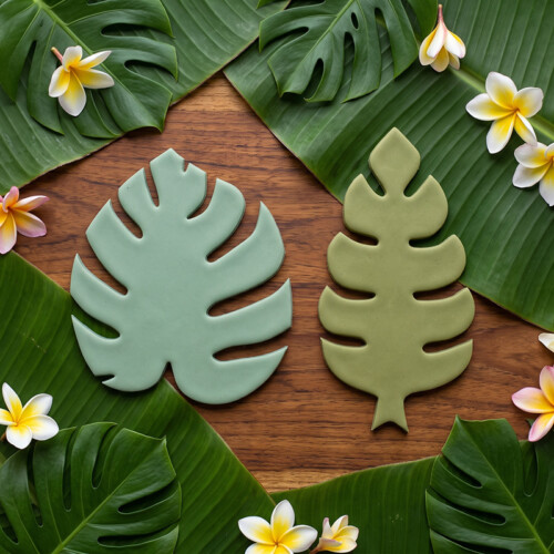 Vykrajovátko monstera | Tropické listy